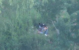 国产树林野战在线播放,热血激战，在线热血沸腾  第2张