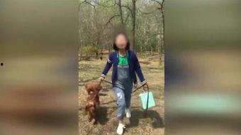 国产a级电影,国产A级电影的璀璨篇章  第2张