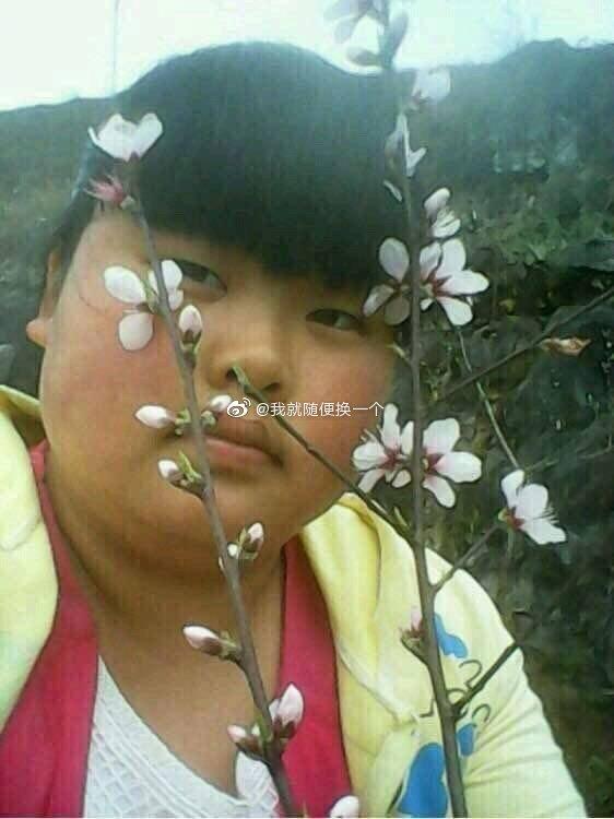 娱乐大嘴吃瓜视频大全下载